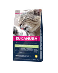 Eukanuba Adult Hairball Control, 10 kg kaina ir informacija | Sausas maistas katėms | pigu.lt