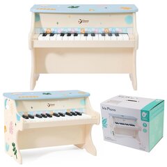 Classic World fortepijonas kaina ir informacija | Lavinamieji žaislai | pigu.lt
