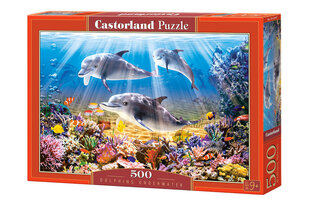 Dėlionė Castorland Dolphins Underwater, 500 dalių kaina ir informacija | Dėlionės (puzzle) | pigu.lt