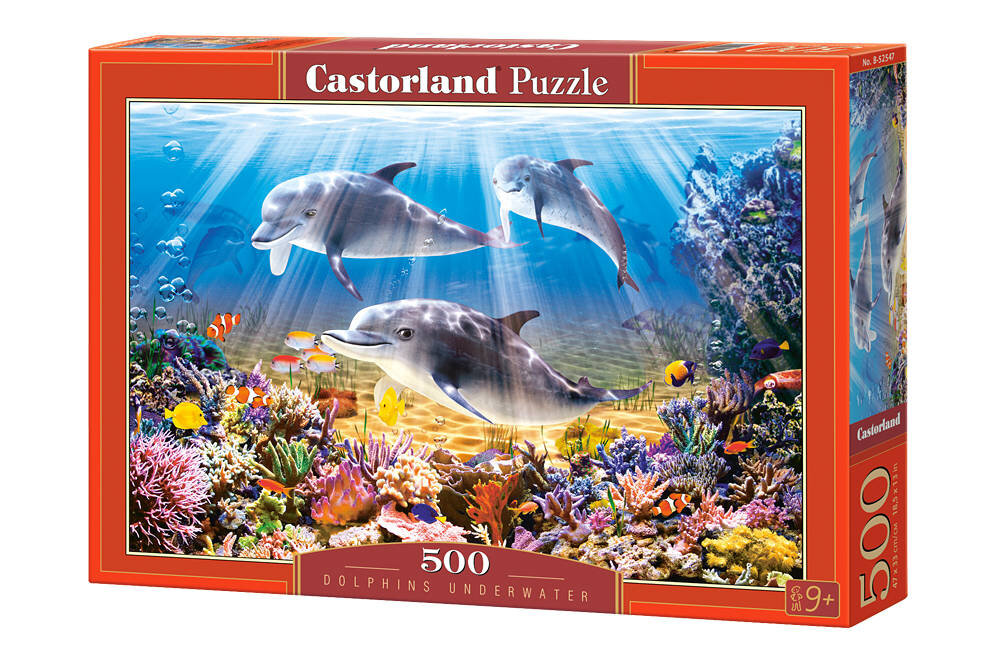 Dėlionė Castorland Dolphins Underwater, 500 dalių цена и информация | Dėlionės (puzzle) | pigu.lt