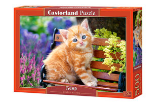 Dėlionė Castorland Ginger Kitten, 500 dalių kaina ir informacija | Dėlionės (puzzle) | pigu.lt