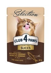 Club 4 Paws Premium plus suaugusioms katėms gabalėliais su silke ir strimelėmis drebučiuose, 80 g x 12 vnt. kaina ir informacija | Konservai katėms | pigu.lt