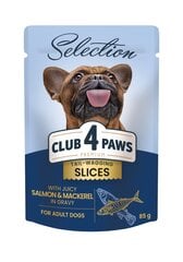Club 4 Paws Premium plus suaugusiems mažų veislių šunims gabaliukai su lašiša ir skumbre padaže, 85 g x 12 vnt цена и информация | Консервы для собак | pigu.lt