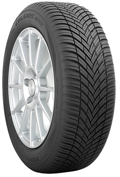 Toyo Celsius AS2 205/55R17 95 W kaina ir informacija | Universalios padangos | pigu.lt