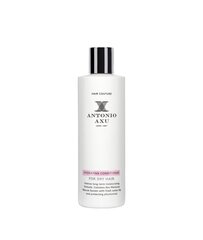 Drėkinamasis kondicionierius sausiems plaukams Antonio Axu Hair Couture, 250 ml kaina ir informacija | Balzamai, kondicionieriai | pigu.lt