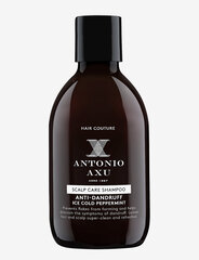 Šampūnas nuo pleiskanų Antonio Axu Scalp Care Shampoo, 300 ml kaina ir informacija | Šampūnai | pigu.lt