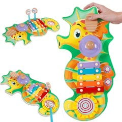 Medinis ksilofonas - Jūrų arkliukas kaina ir informacija | Lavinamieji žaislai | pigu.lt