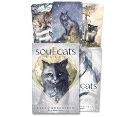 Soul Cats Tarot Llewellyn цена и информация | Эзотерика | pigu.lt