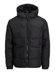 Striukė vyrams Jack & Jones 12212212 5715310470508 kaina ir informacija | Vyriškos striukės | pigu.lt