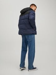 Striukė vyrams Jack & Jones 12212212 5715310471062 kaina ir informacija | Vyriškos striukės | pigu.lt