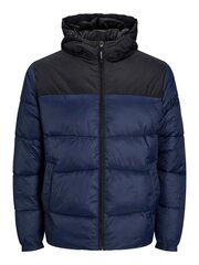 Striukė vyrams Jack & Jones 12212212 5715310471062 kaina ir informacija | Vyriškos striukės | pigu.lt