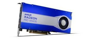 AMD Radeon Pro W6600 8ГБ GDDR6 (100-506159) цена и информация | Видеокарты (GPU) | pigu.lt