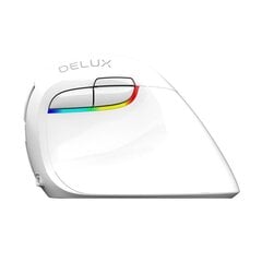 Delux Wireless Vertical M618Mini DB BT+2.4G 2400DPI kaina ir informacija | Pelės | pigu.lt