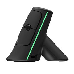 Delux Wireless Ergonomic MV6 DB BT+2.4G kaina ir informacija | Pelės | pigu.lt