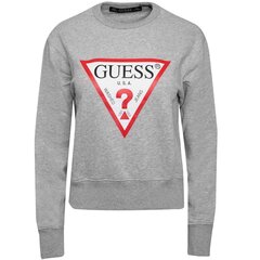 Свитер для женщин Guess, серый цена и информация | Женские кофты | pigu.lt