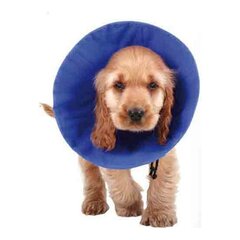 Apsauginis šunų antkaklis KVP Dog Collar, mėlynas, 35-60 cm kaina ir informacija | Drabužiai šunims | pigu.lt