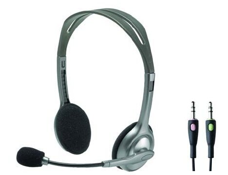 Logitech H110 Stereo (981-000271) цена и информация | Ausinės | pigu.lt