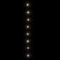 LED lempučių girlianda, 150 šaltų baltų LED kaina ir informacija | Girliandos | pigu.lt