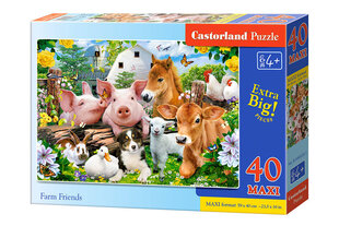 Dėlionė Castorland Farm Friends, 40 dalių kaina ir informacija | Dėlionės (puzzle) | pigu.lt