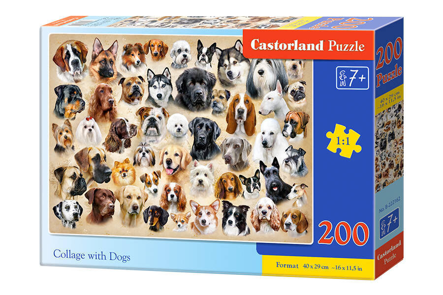 Dėlionė šunys Castorland Collage with Dogs, 200 d. kaina ir informacija | Dėlionės (puzzle) | pigu.lt