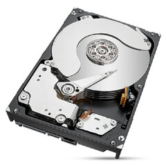 Жесткий диск Seagate ST8000NT001 3.5" 8ТБ цена и информация | Внутренние жёсткие диски (HDD, SSD, Hybrid) | pigu.lt