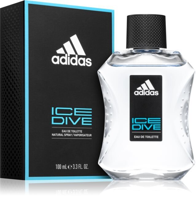 Tualetinis vanduo Adidas Ice Dive EDT vyrams 100 ml kaina ir informacija | Kvepalai vyrams | pigu.lt