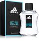 Tualetinis vanduo Adidas Ice Dive EDT vyrams 100 ml цена и информация | Kvepalai vyrams | pigu.lt