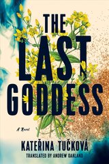 Last Goddess: A Novel kaina ir informacija | Fantastinės, mistinės knygos | pigu.lt