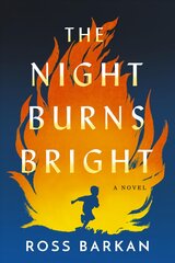 Night Burns Bright: A Novel kaina ir informacija | Fantastinės, mistinės knygos | pigu.lt