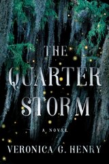 Quarter Storm: A Novel kaina ir informacija | Fantastinės, mistinės knygos | pigu.lt