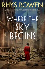 Where the Sky Begins: A Novel kaina ir informacija | Fantastinės, mistinės knygos | pigu.lt