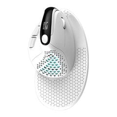 Wireless Ergonomic Mouse Delux M618XSD BT+2.4G RGB (white) цена и информация | Мыши | pigu.lt