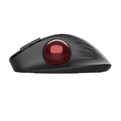 Wireless Ergonomic Mouse Delux MT1 DB BT+2.4G (black) цена и информация | Мыши | pigu.lt