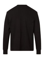 Футболка мужская Calvin Klein, черная цена и информация | Мужские футболки | pigu.lt