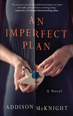 Imperfect Plan: A Novel цена и информация | Fantastinės, mistinės knygos | pigu.lt