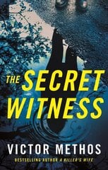 Secret Witness kaina ir informacija | Fantastinės, mistinės knygos | pigu.lt