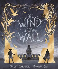 Wind in the Wall цена и информация | Книги для подростков и молодежи | pigu.lt