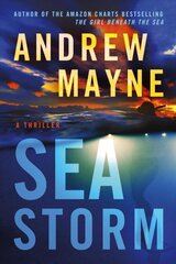 Sea Storm: A Thriller kaina ir informacija | Fantastinės, mistinės knygos | pigu.lt