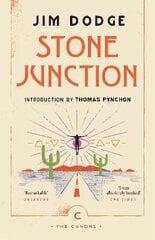 Stone Junction: An Alchemical Pot-Boiler Main - Canons kaina ir informacija | Fantastinės, mistinės knygos | pigu.lt