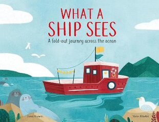 What a Ship Sees: A Fold-out Journey Across the Ocean цена и информация | Книги для малышей | pigu.lt