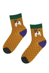 Хлопковые носки горчично-жёлтого цвета с изображением милого пёсика и белых крапинок KENNEL цена и информация | Женские носки | pigu.lt