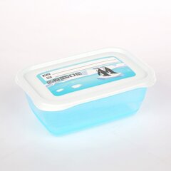 Набор пищевых контейнеров Mia Polar, 0,5 л, 5 шт. цена и информация | Посуда для хранения еды | pigu.lt