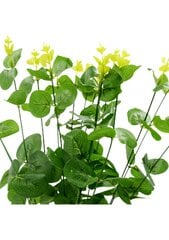 Dirbtinė eukalipto puokštė, 48 cm цена и информация | Искусственные цветы | pigu.lt