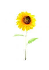 Dirbtinė gėlė saulėgrąža, 70 cm цена и информация | Искусственные цветы | pigu.lt
