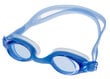 Plaukimo akiniai Vivo B-0116 (4510116) 0748 kaina ir informacija | Plaukimo akiniai | pigu.lt