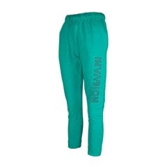 Толстовки для мальчика, зеленые, аппликация на ноге INVASION, Tup Tup цена и информация | Спортивные штаны для мальчиков | pigu.lt