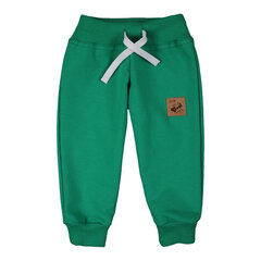 Толстовки для мальчиков, зеленые, Tup Tup цена и информация | Спортивные штаны для мальчиков | pigu.lt