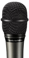 Динамический микрофон для вокала Audio-Technica Artist Series ATM610A цена и информация | Микрофоны | pigu.lt