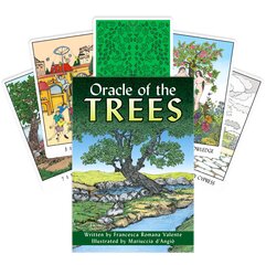 Oracle Of The Trees US Games Systems kaina ir informacija | Ezoterika | pigu.lt