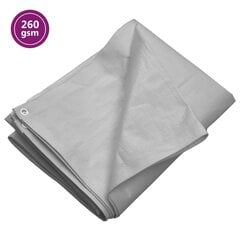 Tentas, 2x3m, 260g/m² цена и информация | Садовые инструменты | pigu.lt